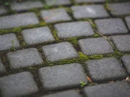 Natural Stone Paving