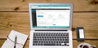Wordpress Developers