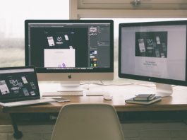 Web Design Facts
